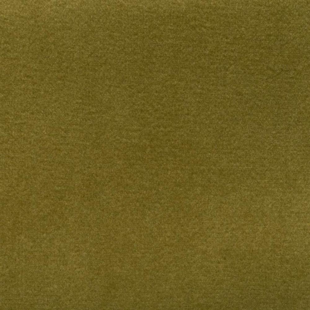 Olive Plush Velvet 